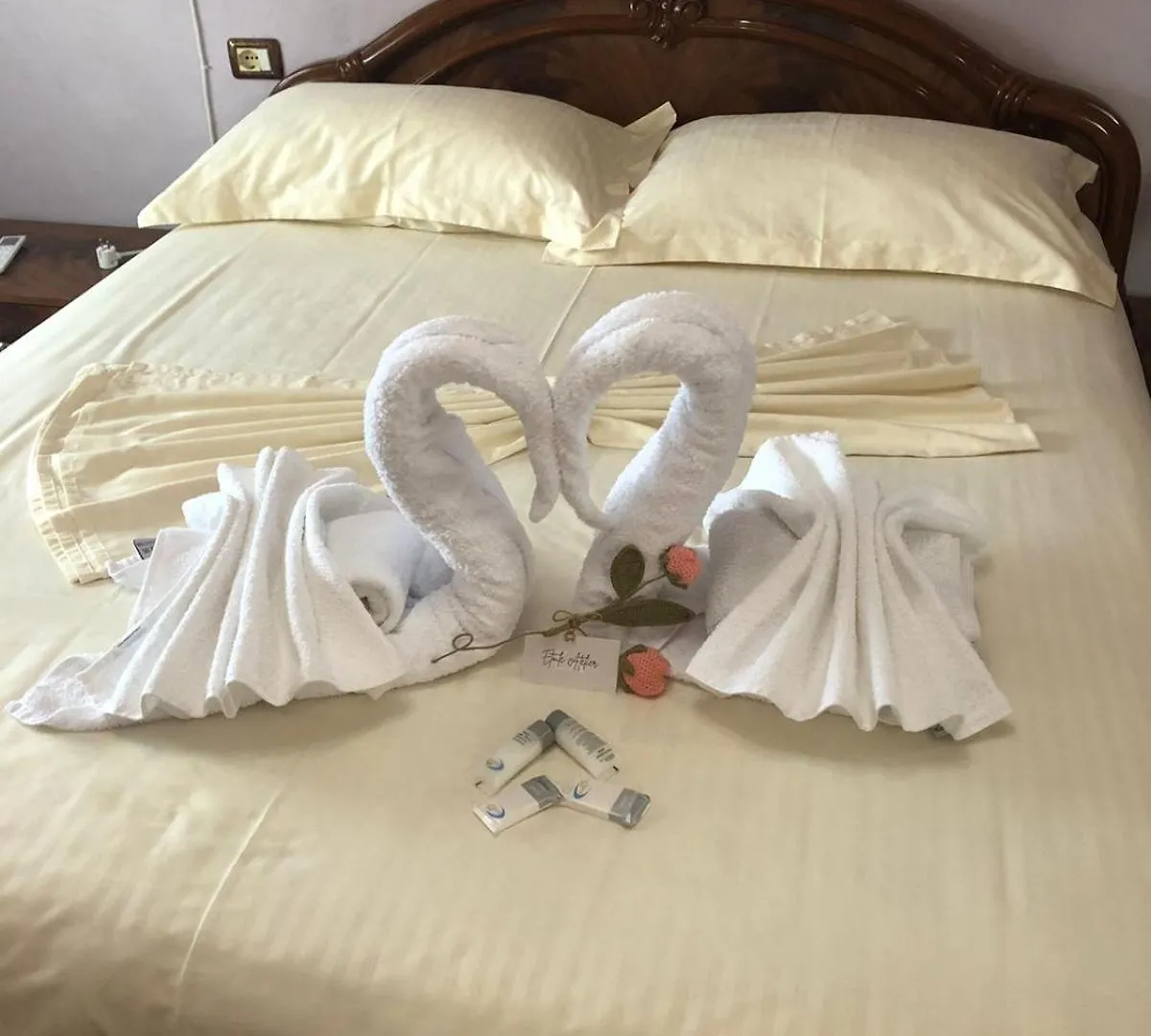 Apartmán Vila Dlmeti Shkodër