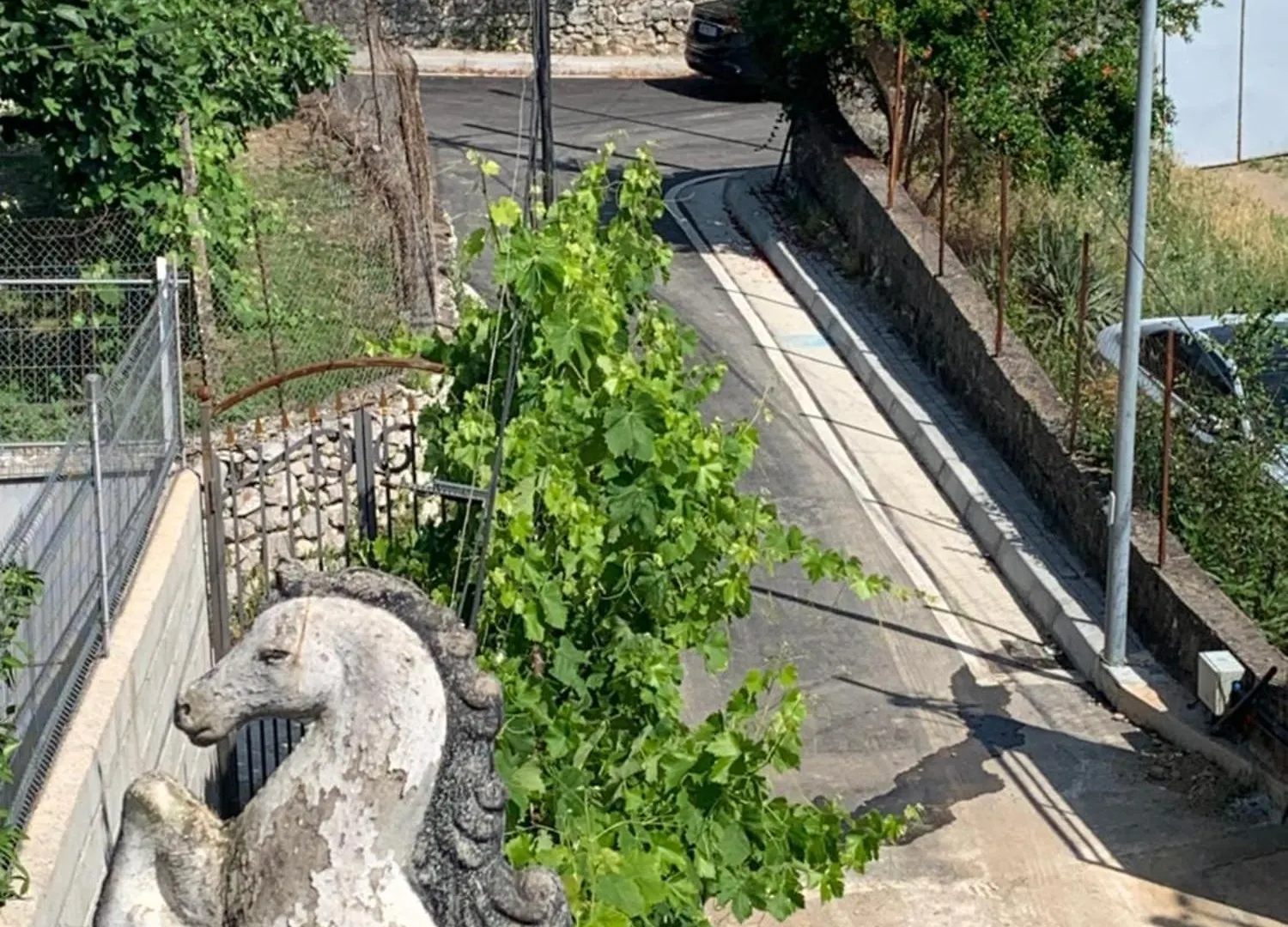 Vila Dlmeti Shkodër